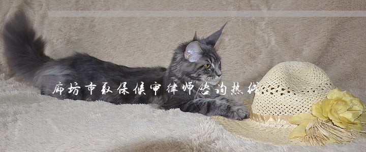 廊坊市取保候审律师咨询热线 廊坊市取保候审律师咨询热线