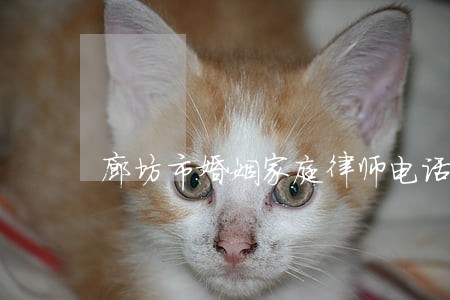 廊坊市婚姻家庭律师电话 廊坊市婚姻家庭律师电话