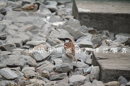 廊坊市婚姻财产律师事务所 廊坊市婚姻财产律师事务所