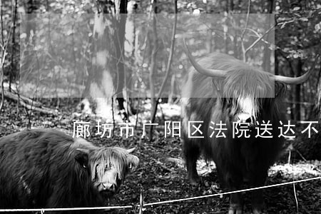 廊坊市广阳区法院送达不合法 廊坊市广阳区法院送达不合法