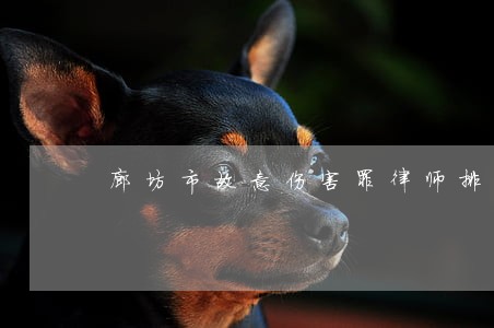 廊坊市故意伤害罪律师排名 廊坊市故意伤害罪律师排名