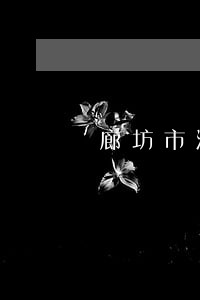 廊坊市法院樊颖 廊坊市法院樊颖