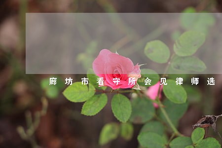 廊坊市看守所会见律师选谁 廊坊市看守所会见律师选谁