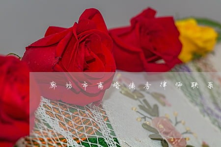 廊坊市离婚债务律师联系方式 廊坊市离婚债务律师联系方式