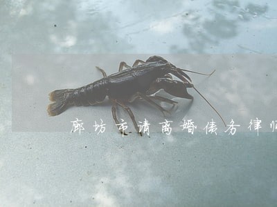 廊坊市请离婚债务律师 廊坊市请离婚债务律师