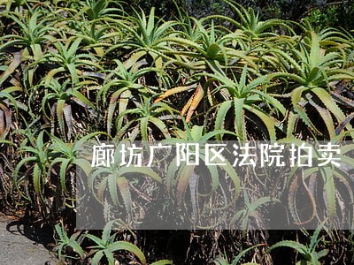 廊坊广阳区法院拍卖 廊坊广阳区法院拍卖