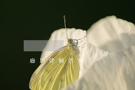廊坊律师咨询 廊坊律师咨询