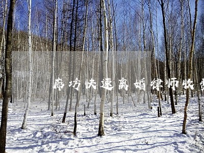 廊坊快速离婚律师收费标准 廊坊快速离婚律师收费标准