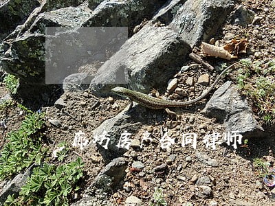 廊坊房产合同律师 廊坊房产合同律师