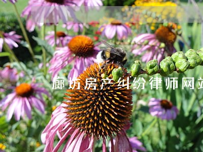 廊坊房产纠纷律师网站 廊坊房产纠纷律师网站