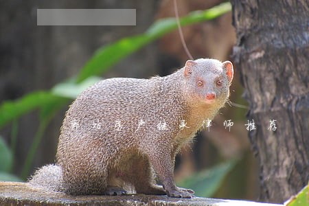 廊坊房产继承律师推荐 廊坊房产继承律师推荐