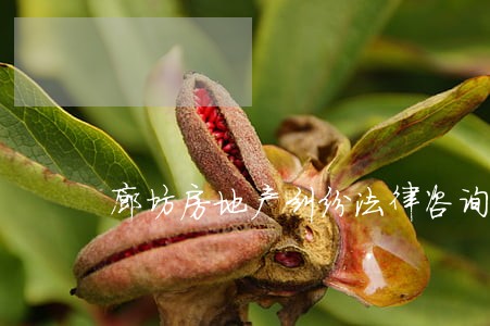 廊坊房地产纠纷法律咨询