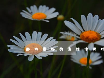 廊坊最好的离婚律师排名 廊坊最好的离婚律师排名