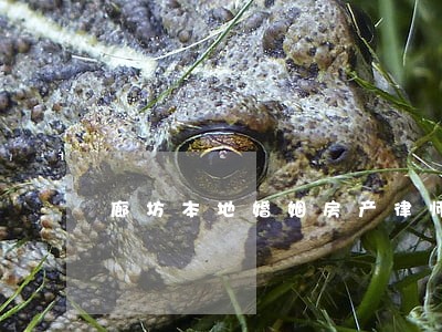 廊坊本地婚姻房产律师 廊坊本地婚姻房产律师