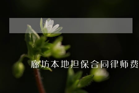 廊坊本地担保合同律师费用 廊坊本地担保合同律师费用