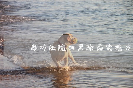 廊坊法院扫黑除恶实施方案 廊坊法院扫黑除恶实施方案
