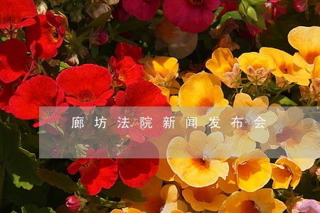 廊坊法院新闻发布会 廊坊法院新闻发布会