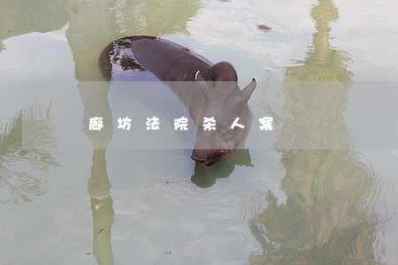 廊坊法院杀人案