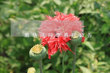 廊坊法院李春旺公告 廊坊法院李春旺公告