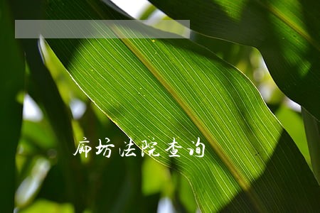 廊坊法院查询