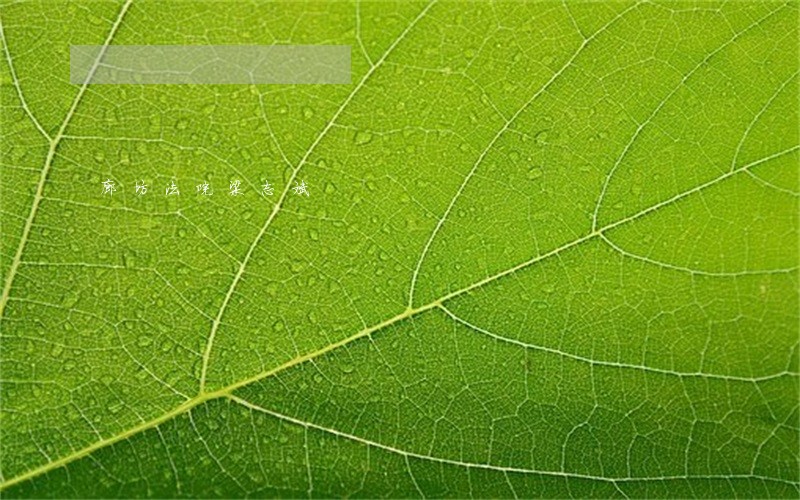 廊坊法院梁志斌 廊坊法院梁志斌