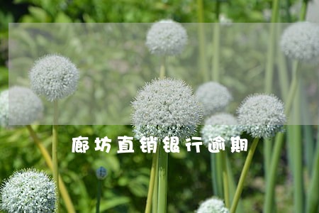 廊坊直销银行逾期 廊坊直销银行逾期