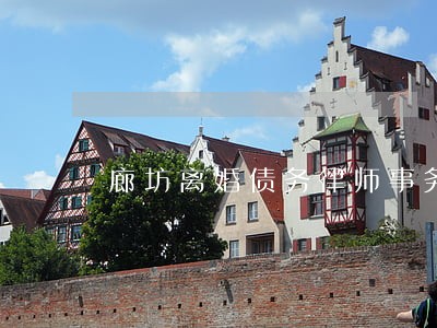 廊坊离婚债务律师事务所 廊坊离婚债务律师事务所