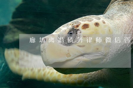 廊坊离婚债务律师微信咨询 廊坊离婚债务律师微信咨询