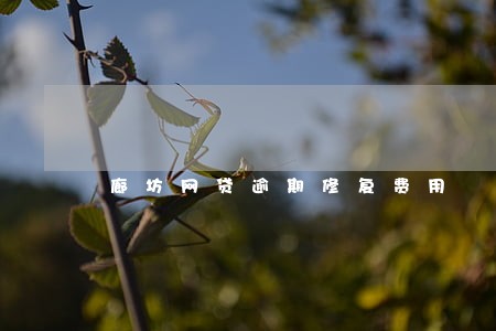 廊坊网贷逾期修复费用 廊坊网贷逾期修复费用