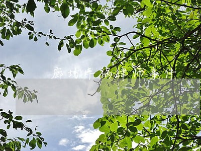 廊坊车祸律师事件 廊坊车祸律师事件