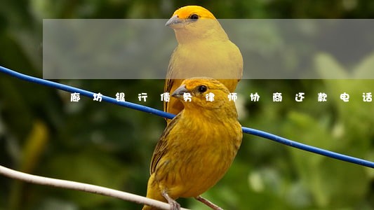 廊坊银行债务律师协商还款电话 廊坊银行债务律师协商还款电话