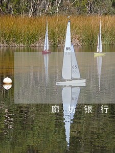 廊坊银行违法 廊坊银行违法