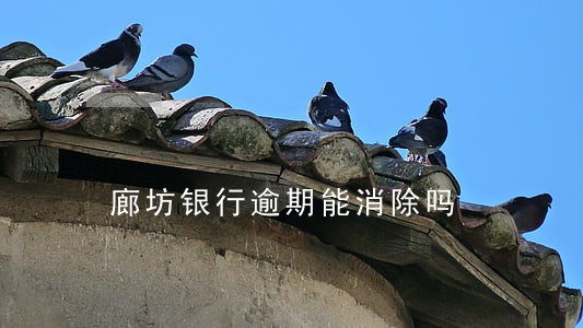廊坊银行逾期能消除吗 廊坊银行逾期能消除吗