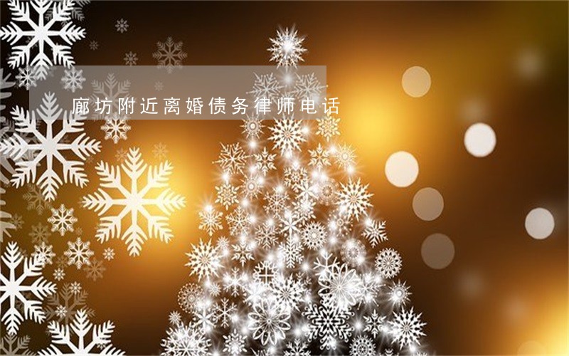廊坊附近离婚债务律师电话 廊坊附近离婚债务律师电话