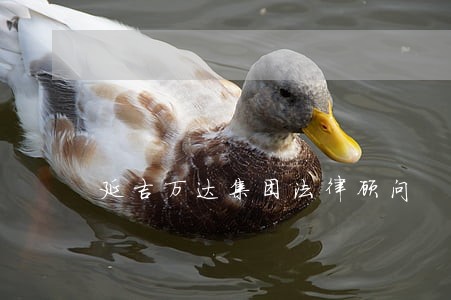 延吉万达集团法律顾问 延吉万达集团法律顾问