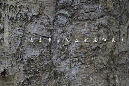 延吉市法院立案庭任贞玉