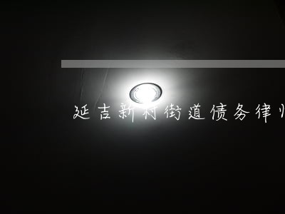 延吉新村街道债务律师 延吉新村街道债务律师