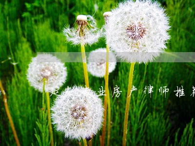 延安专业房产律师推荐 延安专业房产律师推荐