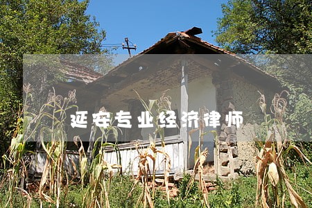 延安专业经济律师 延安专业经济律师