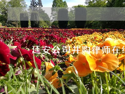 延安公司并购律师在线解答 延安公司并购律师在线解答