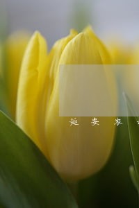 延安农村土地法律咨询