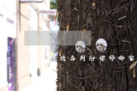 延安市债务纠纷律师哪家专业 延安市债务纠纷律师哪家专业