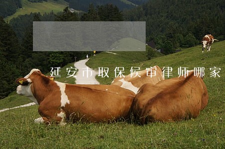 延安市取保候审律师哪家专业
