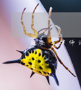 延安市律师证报考指南 延安市律师证报考指南