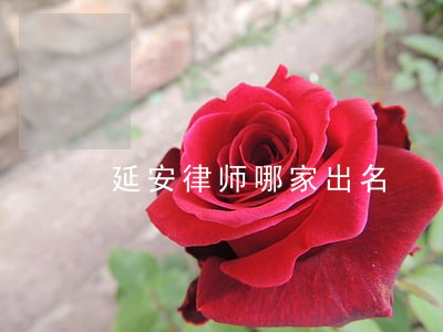 延安律师哪家出名 延安律师哪家出名