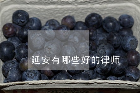 延安有哪些好的律师 延安有哪些好的律师