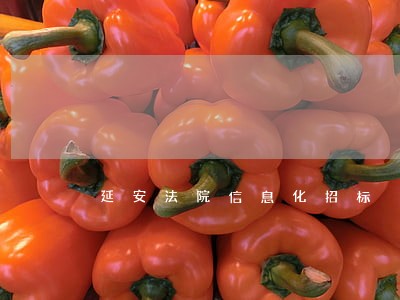 延安法院信息化招标 延安法院信息化招标