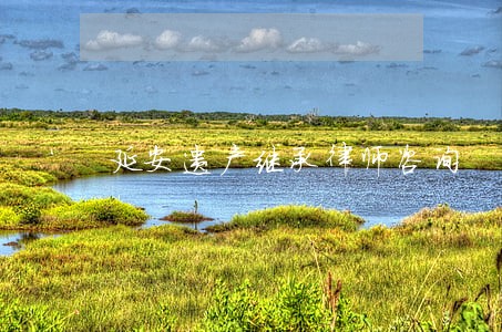 延安遗产继承律师咨询 延安遗产继承律师咨询
