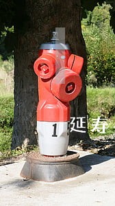 延寿县人民法院成员 延寿县人民法院成员