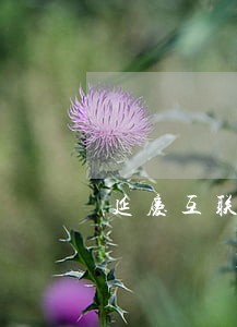 延庆互联网律师选哪家 延庆互联网律师选哪家